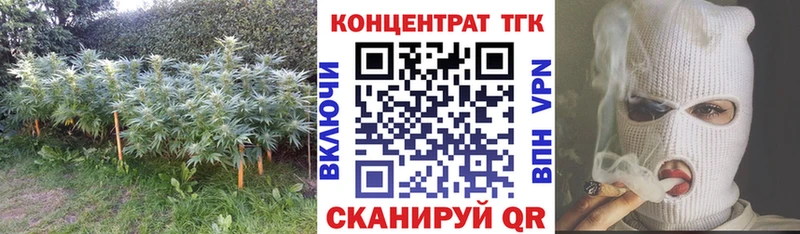 где можно купить наркотик  Александров  mega зеркало  ТГК гашишное масло 